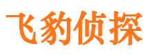 岭东市调查公司